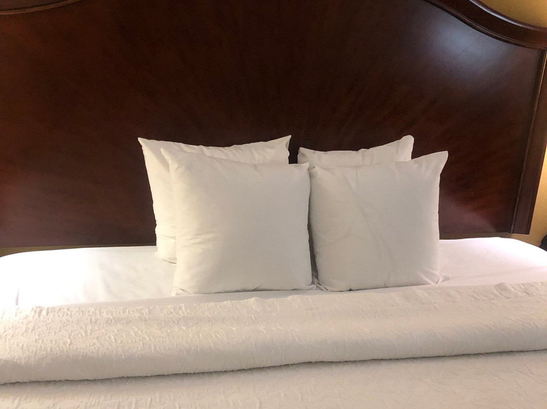 北康罗I45希尔顿恒庭旅馆&套房酒店主图