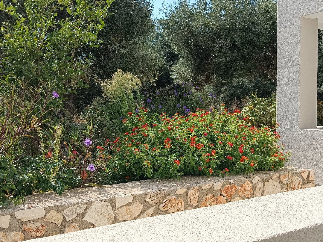 Casa de Rosa Apartments & Studios主图