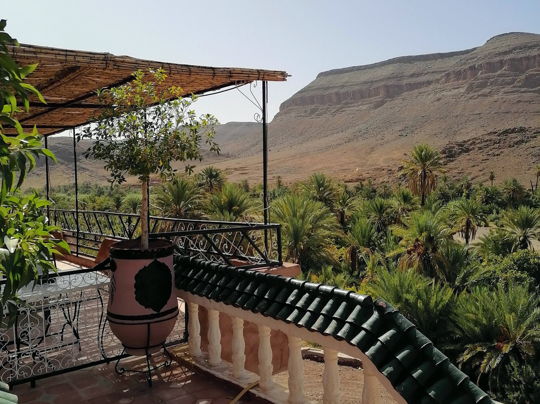 特蕾萨德里斯住宿加早餐旅馆主图