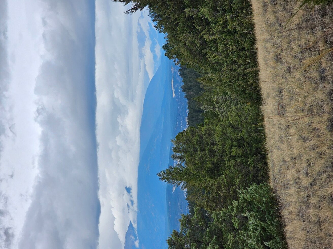 Windermere Creek Bed and Breakfast Cabins主图