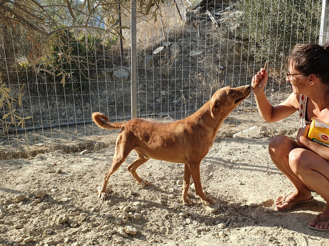 Jutta Shelter-Ierapetra必去景点
