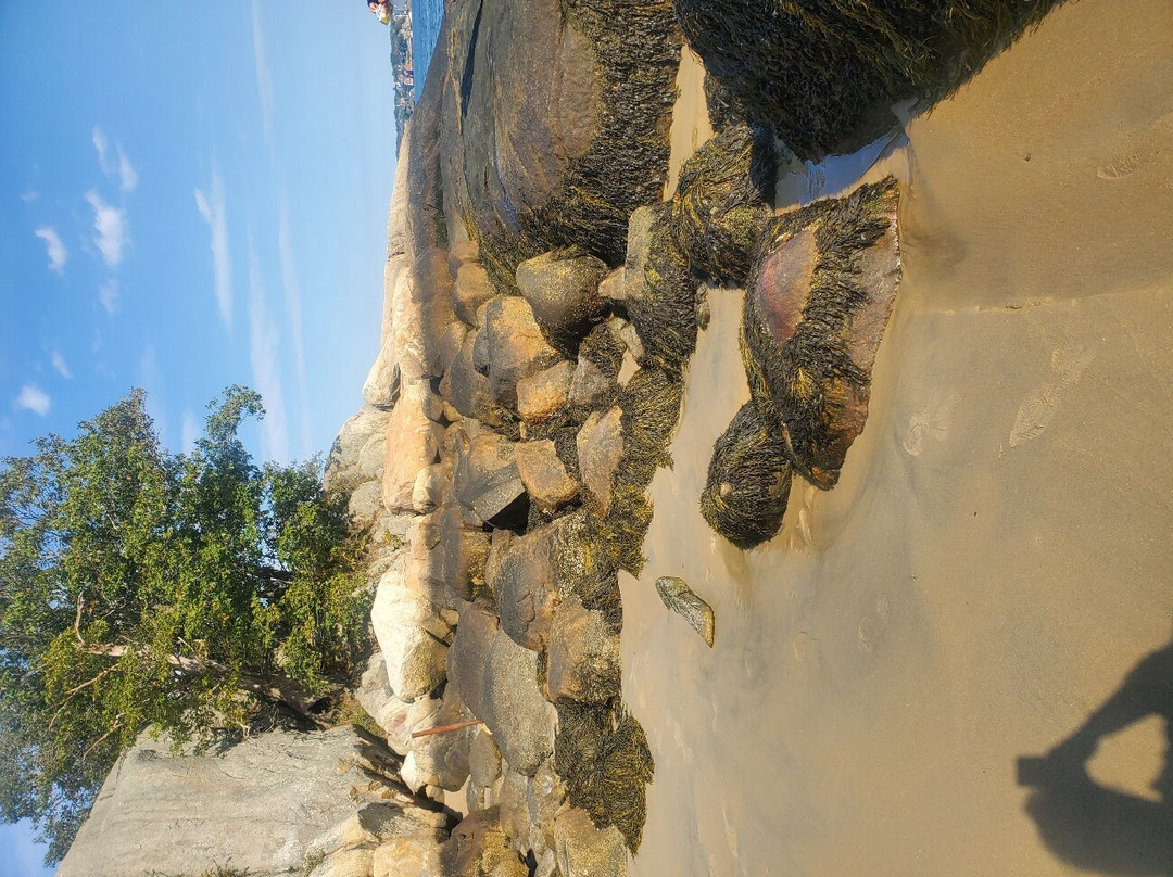 Stage Fort Park and Beach景点图片