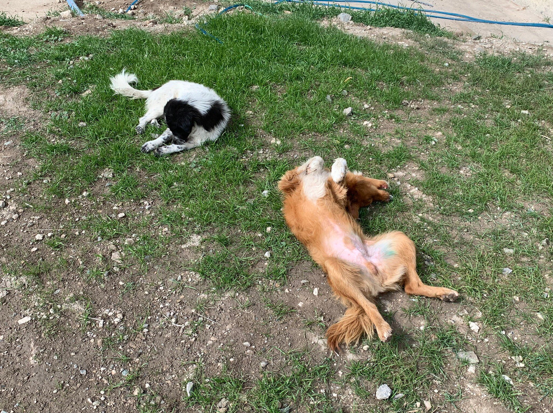 Alacahan Kervansarayi-Sivas必去景点