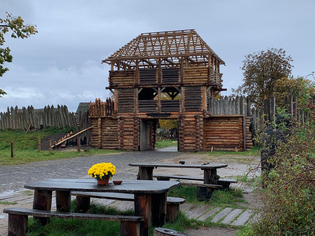 Slavian and Viking centre Vineta景点图片