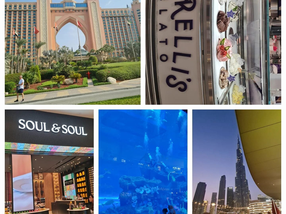 Tours & Trusted Transportation in UAE ( Airport Transfers, 1 way, 2 way, half Day, Full Day Private Vehicle-迪拜必去景点