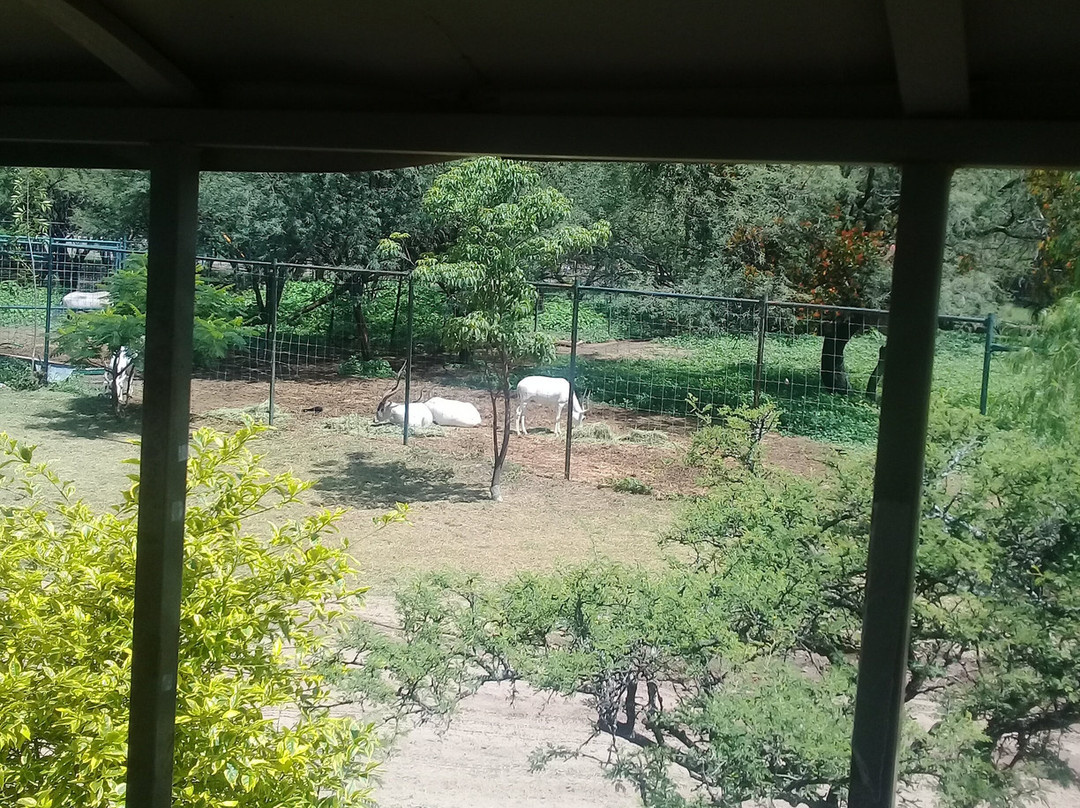 Parque Zoológico de León-利昂必去景点