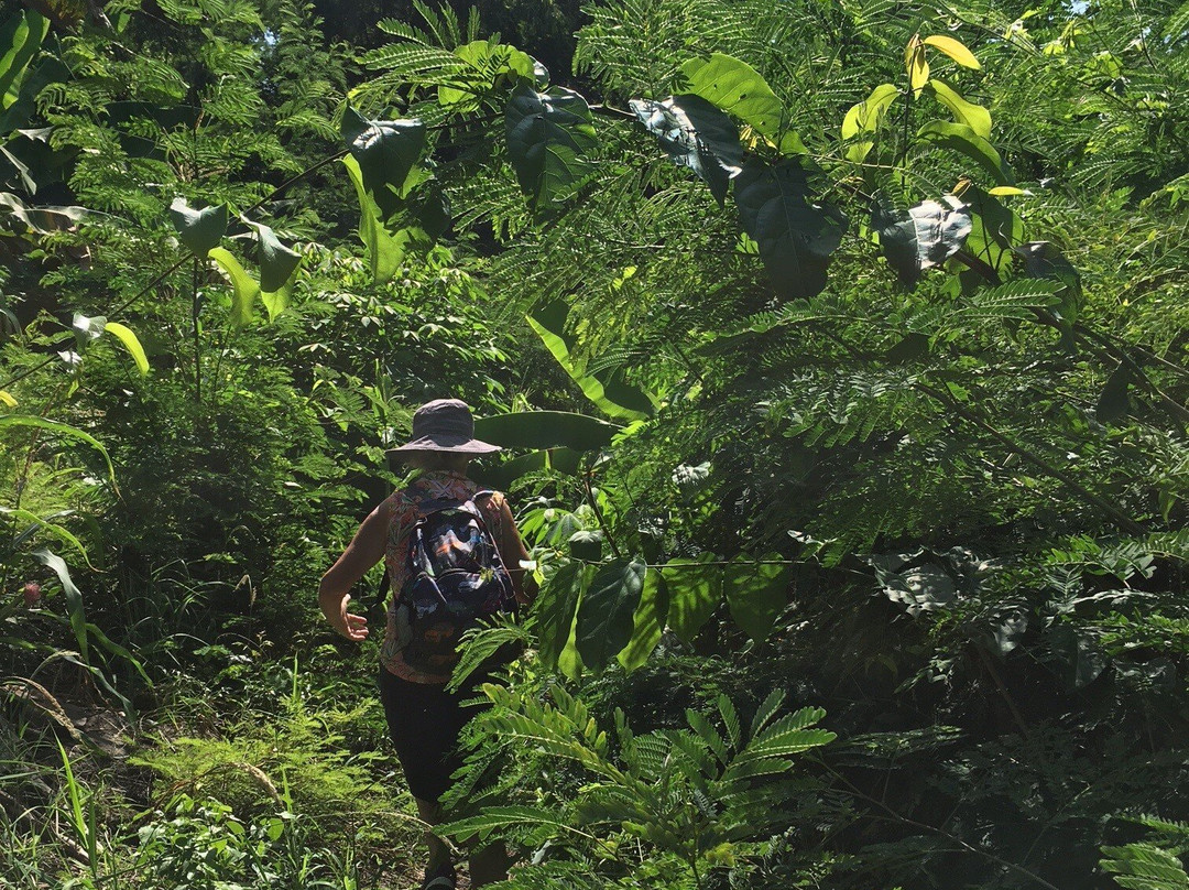 The Green Ranch-库马西必去景点