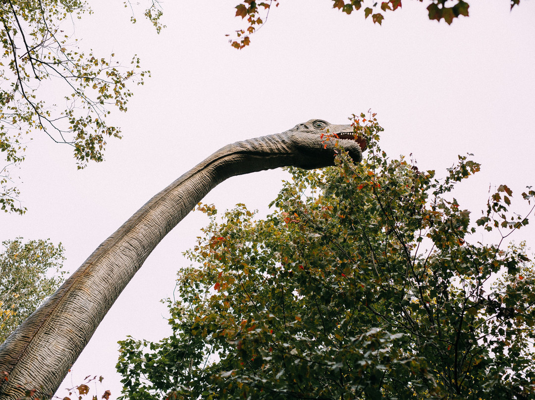 Woodooliparc-Scott必去景点