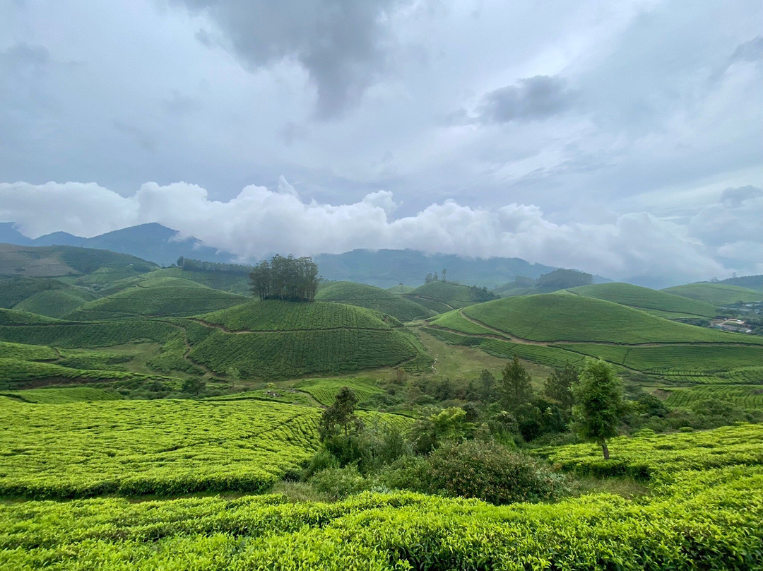 Winternote Resorts Munnar