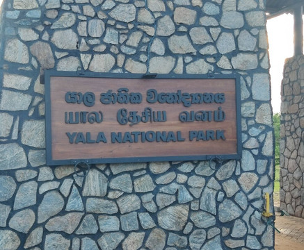 Manu Yala Safari Tour-蒂瑟默哈拉默必去景点