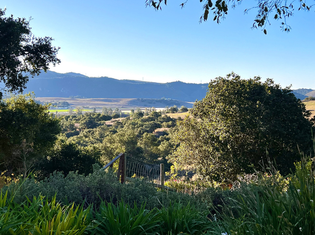 阿罗约格兰德卡西塔斯酒店主图