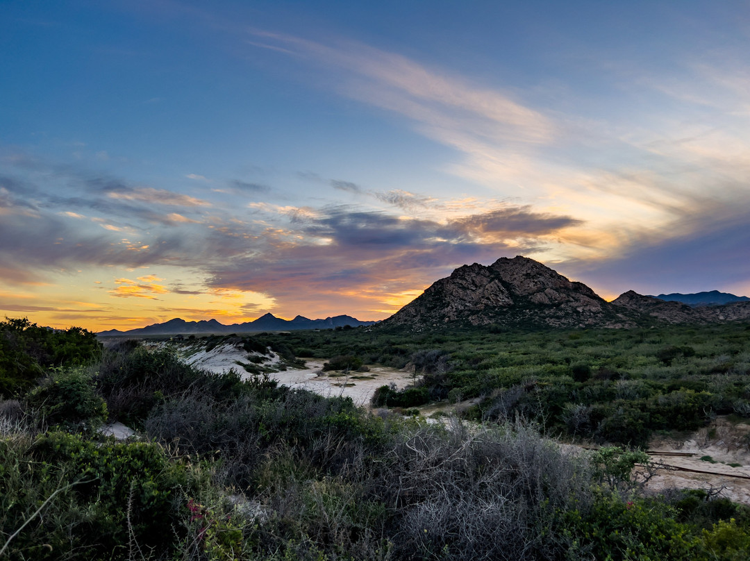 GoDiveBaja-拉巴斯必去景点