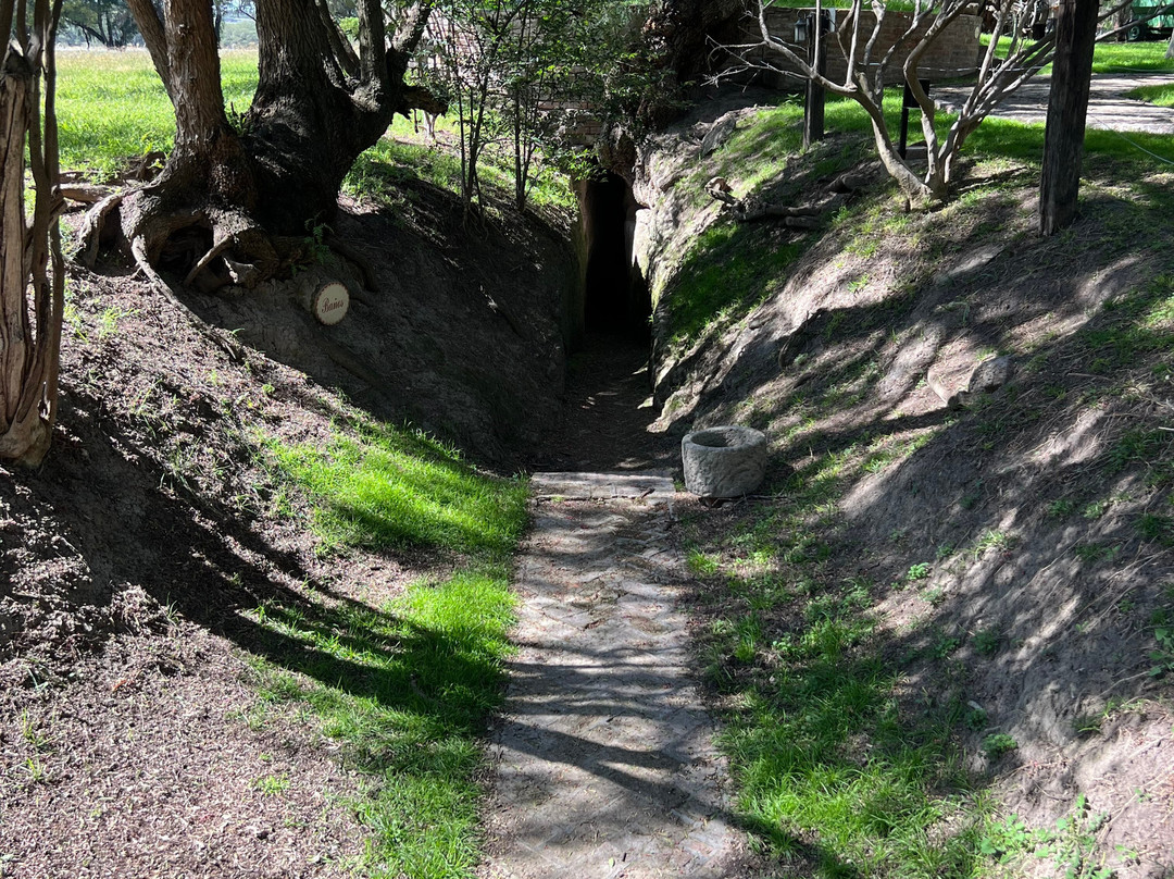 Cabalgatas Las Haciendas Horseback Adventures-Lagos de Moreno必去景点