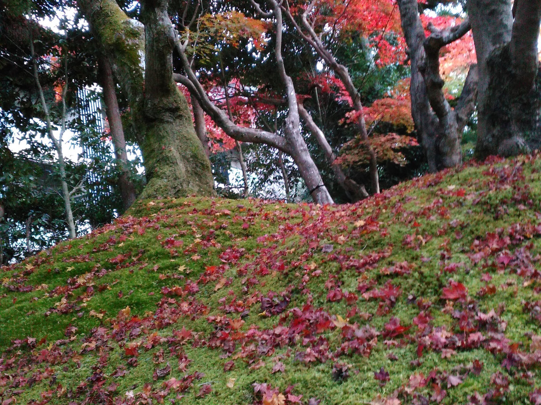 Shozan Resort Kyoto景点图片