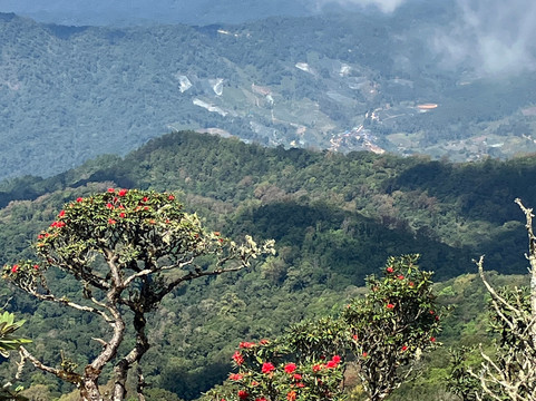 Bangkok Hiking-曼谷必去景点