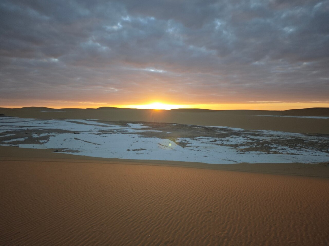 Desert Egypt Safari景点图片