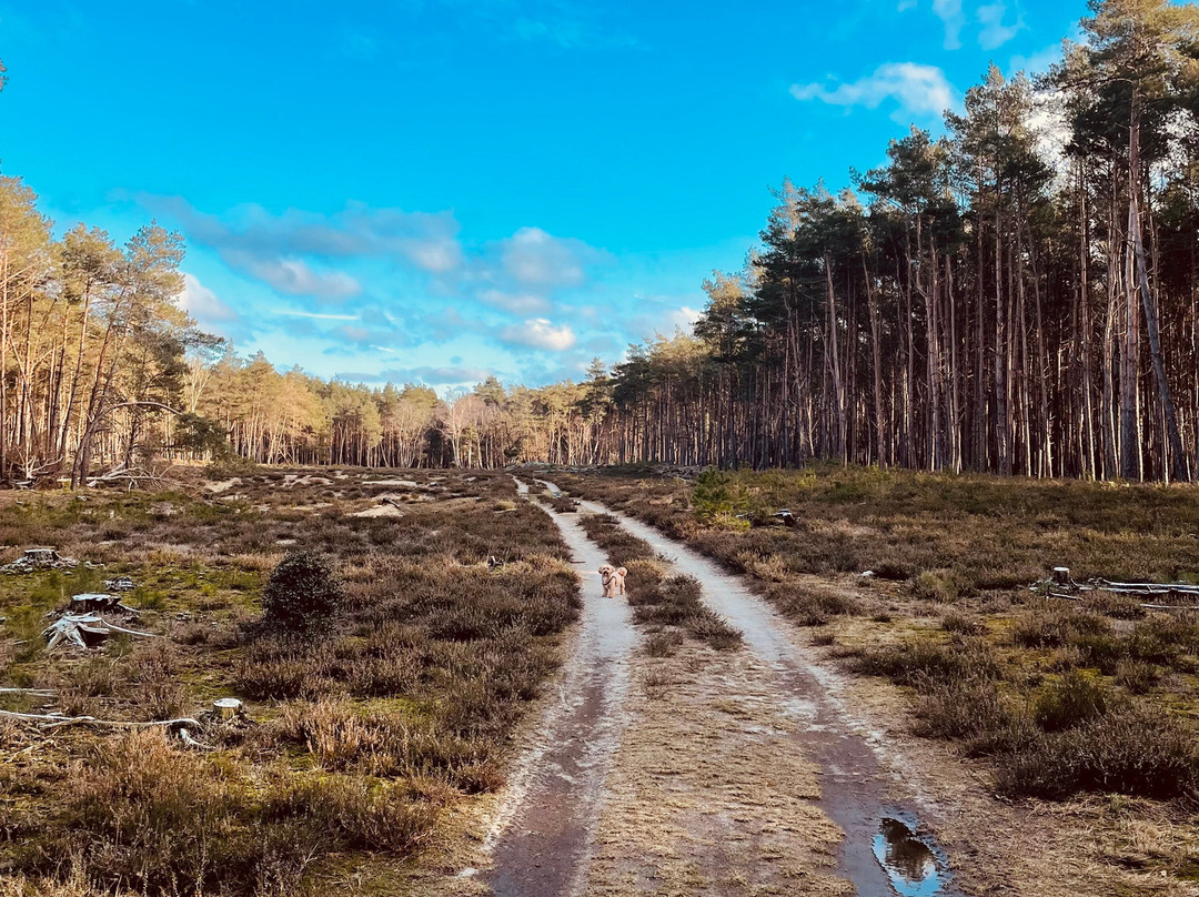 Veluwe Hotel Stakenberg主图