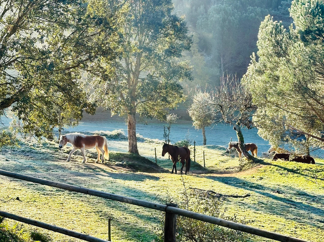 Portugal By Horse主图