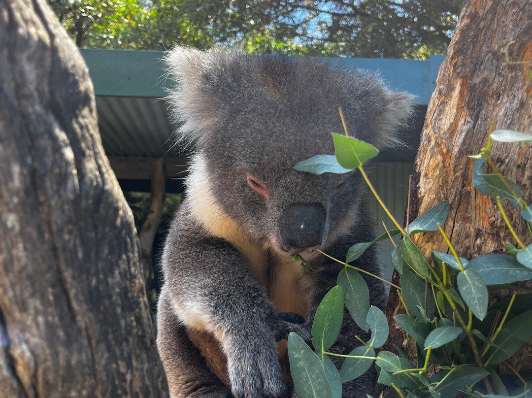 Tasmania on Tour景点图片