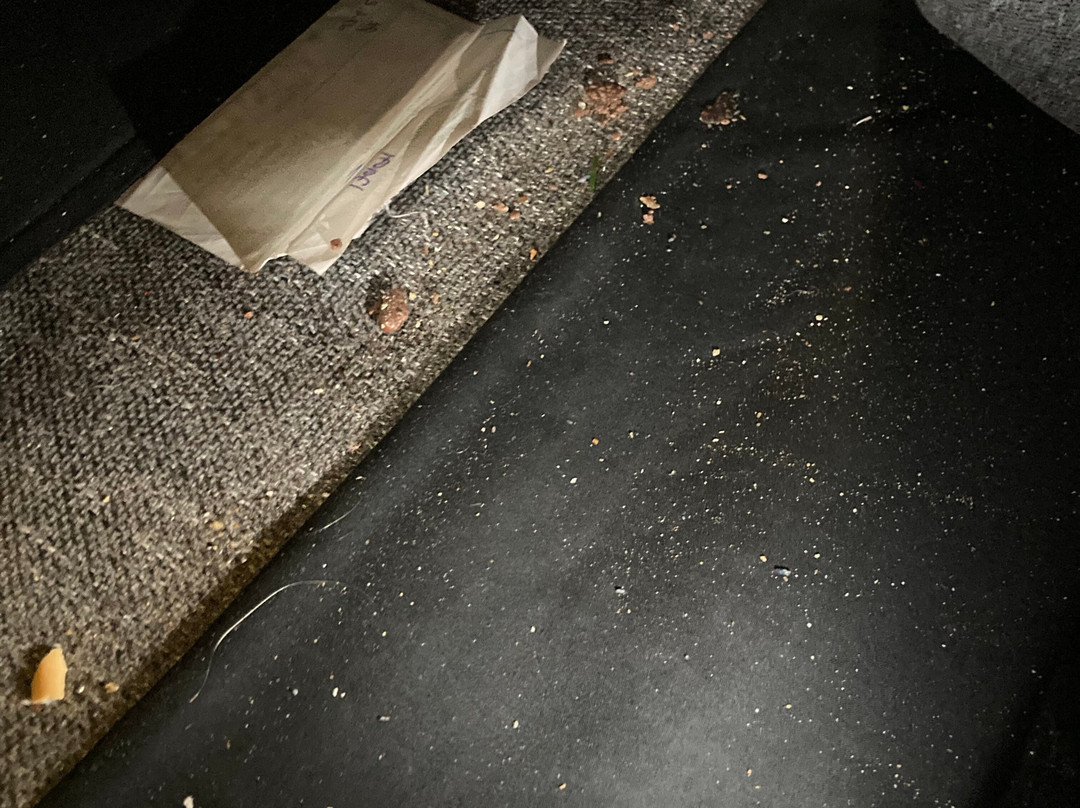 Blackwood Forest-温彻斯特必去景点