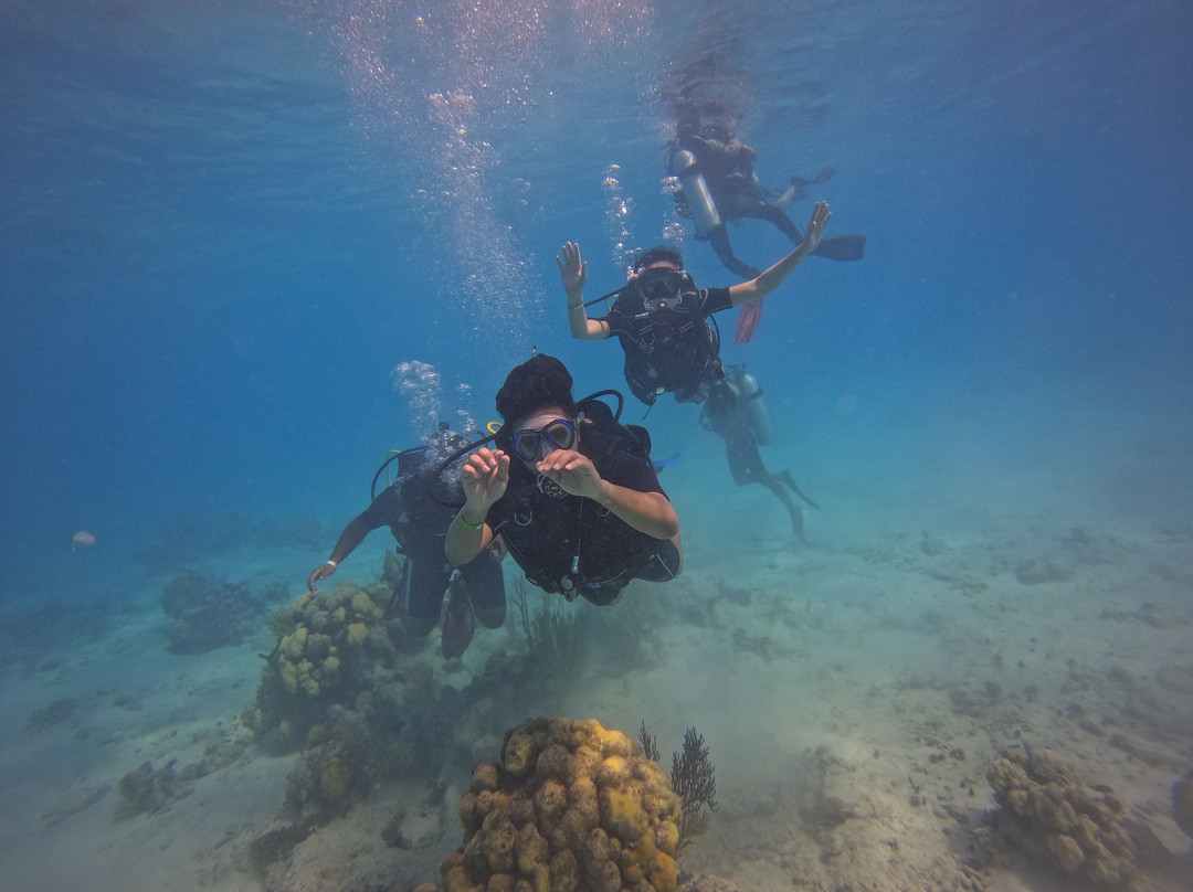 Varadero Diving Tour景点图片