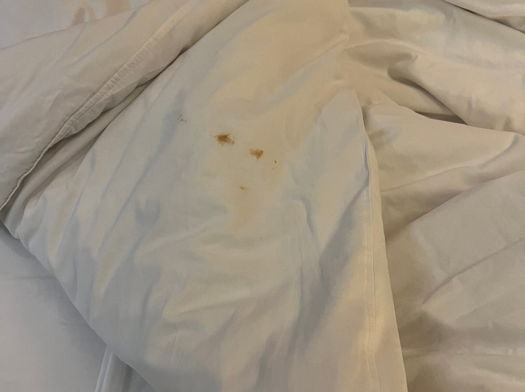 A2度假酒店主图