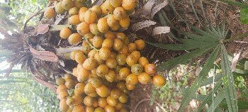 Moroccoatlastrek-Asni必去景点