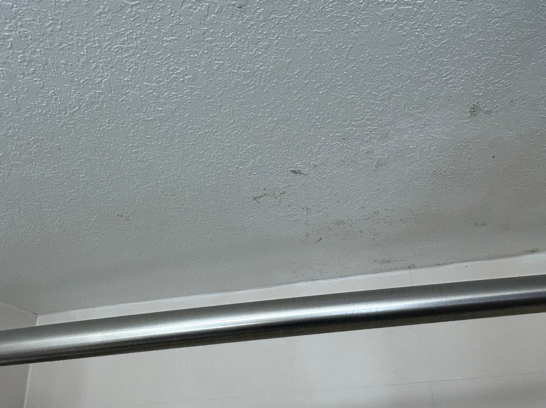 Holiday Inn Express & Suites Live Oak by IHG主图