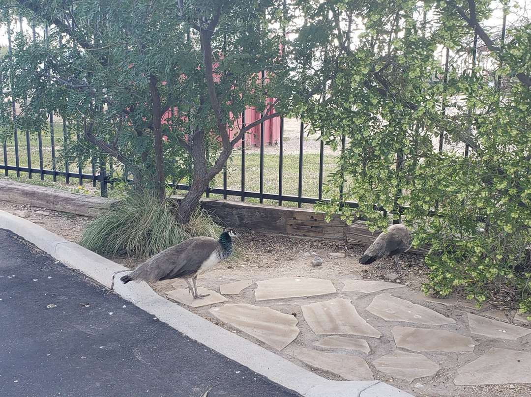 Xeriscape Botanical Gardens-格兰岱尔必去景点