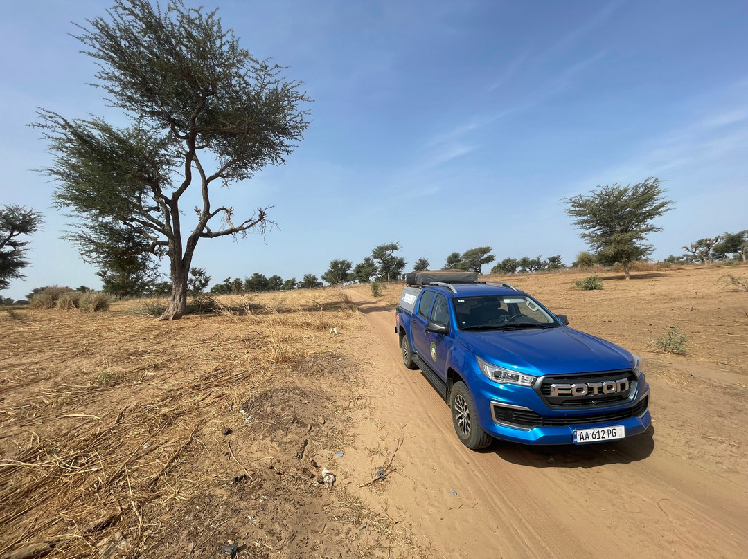 Africa Camper Expedition景点图片