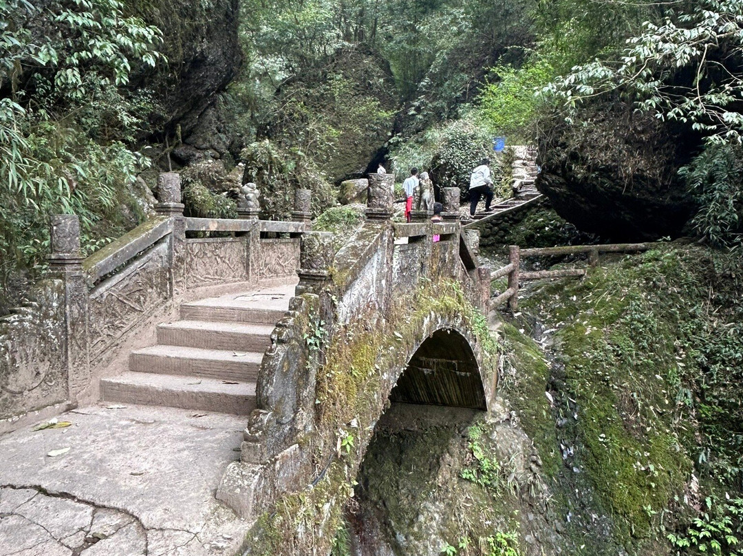 青城山后山 景点图片