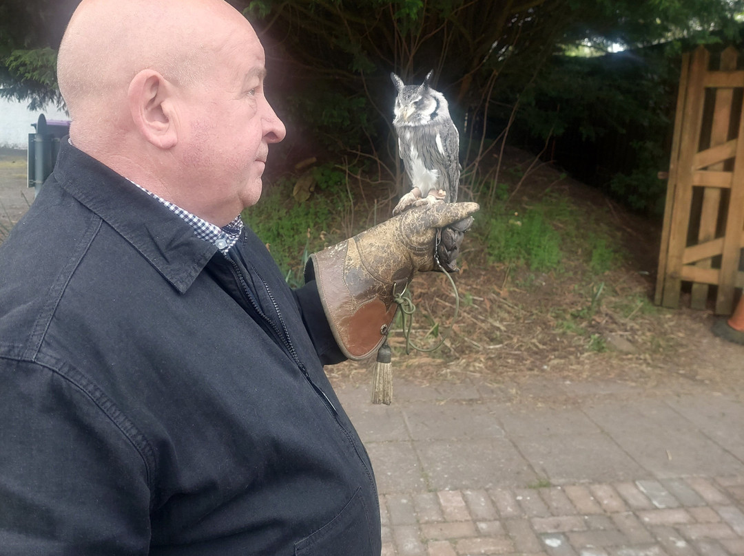Strathblane Falconry-Strathblane必去景点