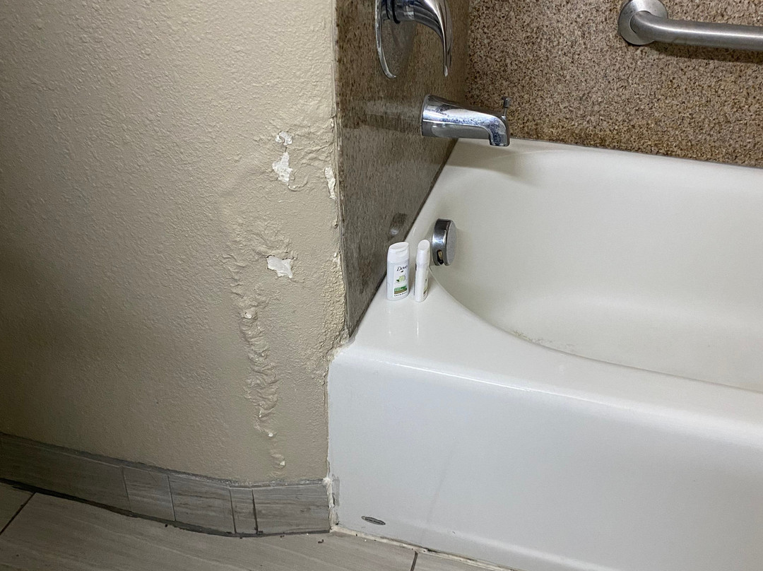 Baymont by Wyndham Columbus主图