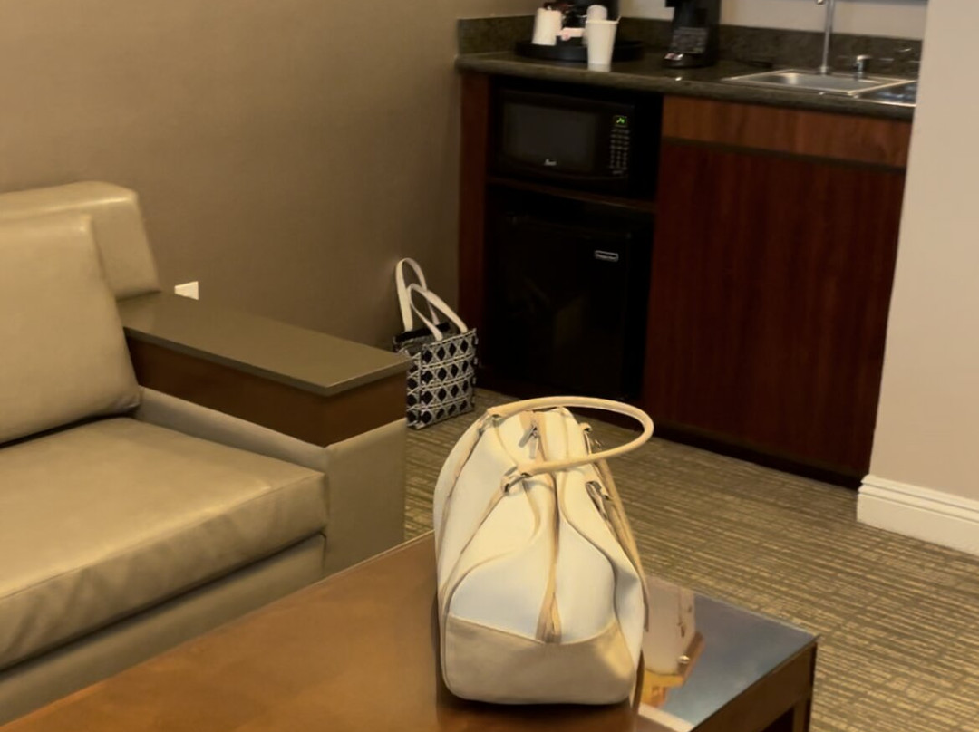 阿纳海姆艾雅酒店主图