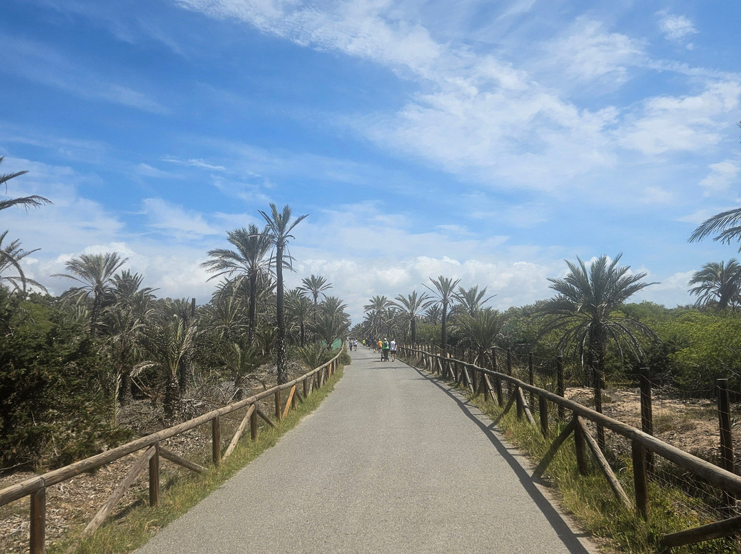 Parque Alfonso XIII景点图片