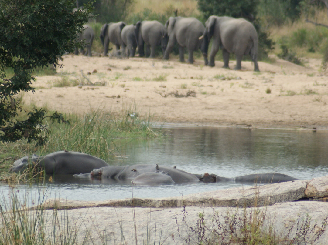 Lihlosi Safari and Touring-马里兰必去景点