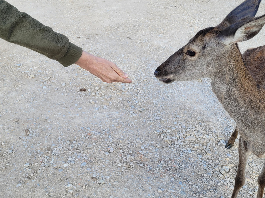 Hostal GC Ciudad Encantada主图