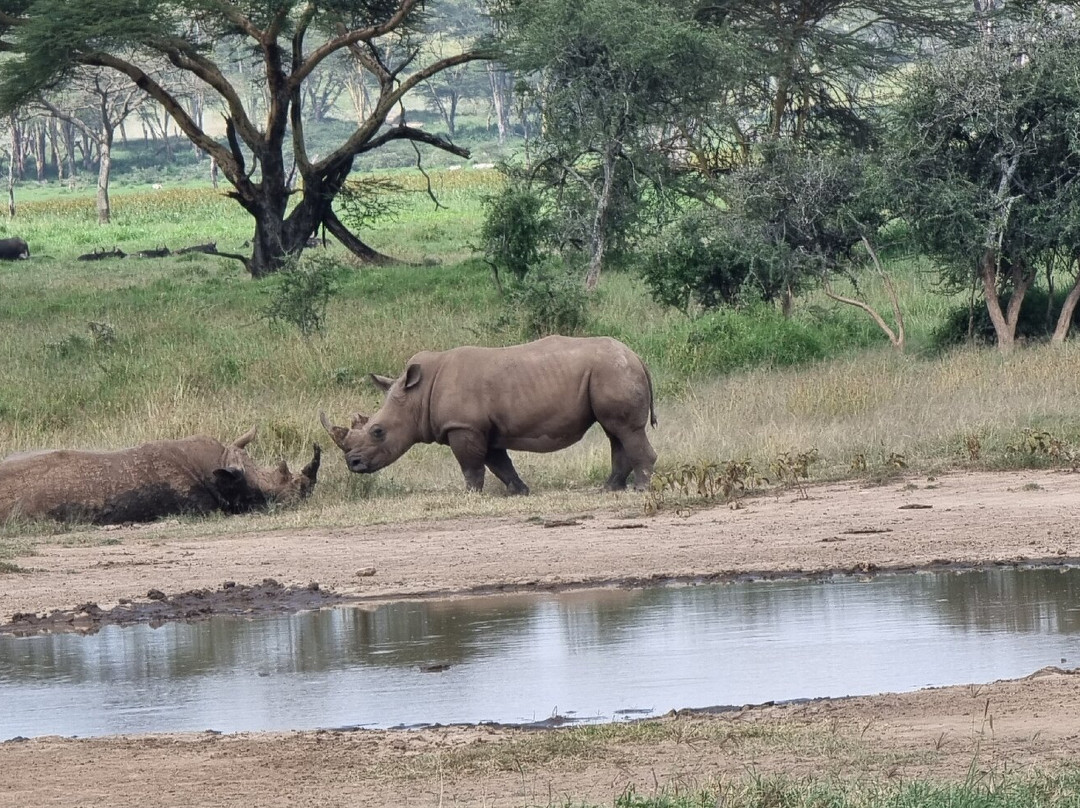 Kairi Tours and Safaris-内罗毕必去景点