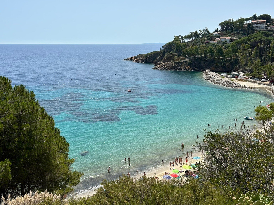 Spiaggia delle Cannelle-Isola del Giglio必去景点