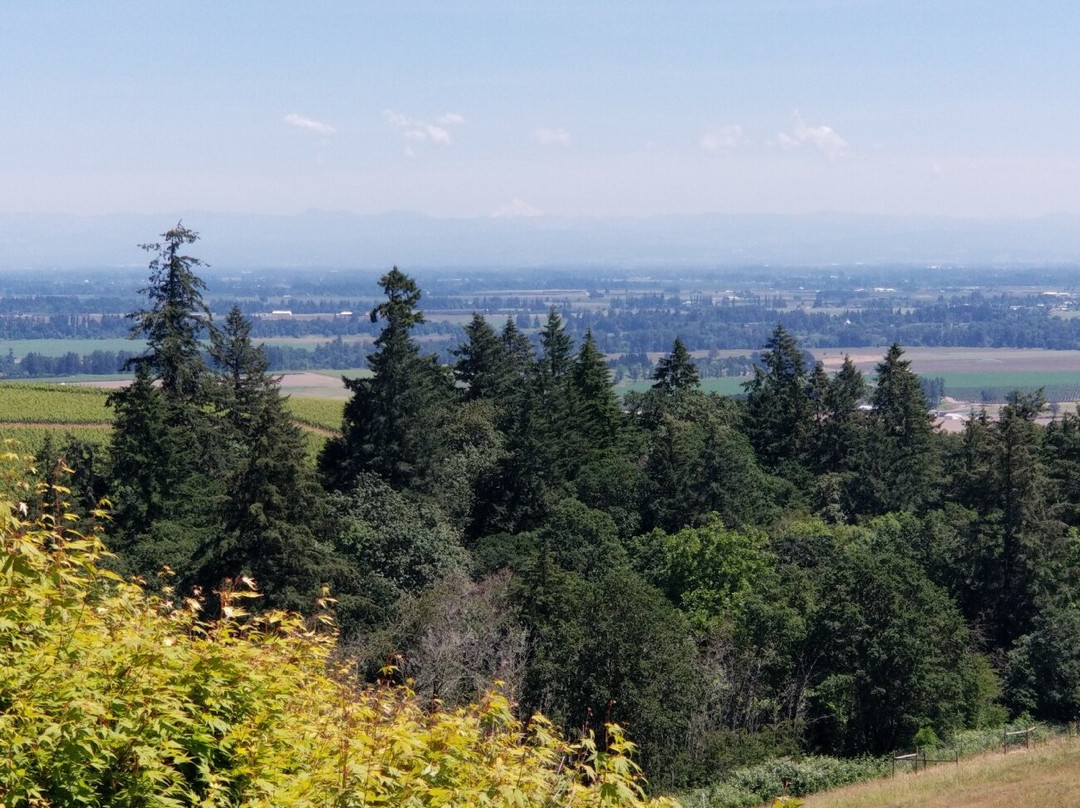 The DreamGiver's Inn Bed & Breakfast主图