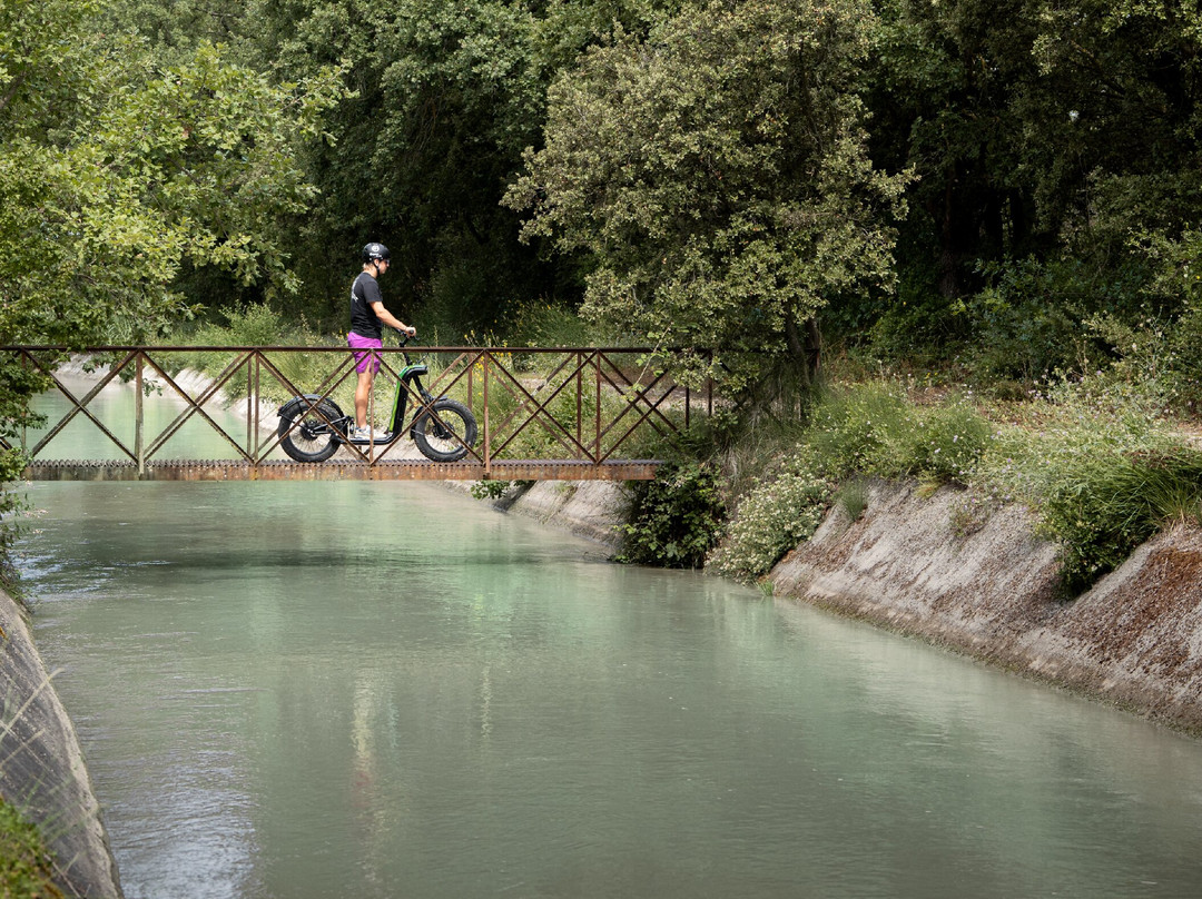 Explora Trott-索格岛必去景点