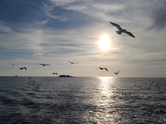 Ananda Boat Tours Pula