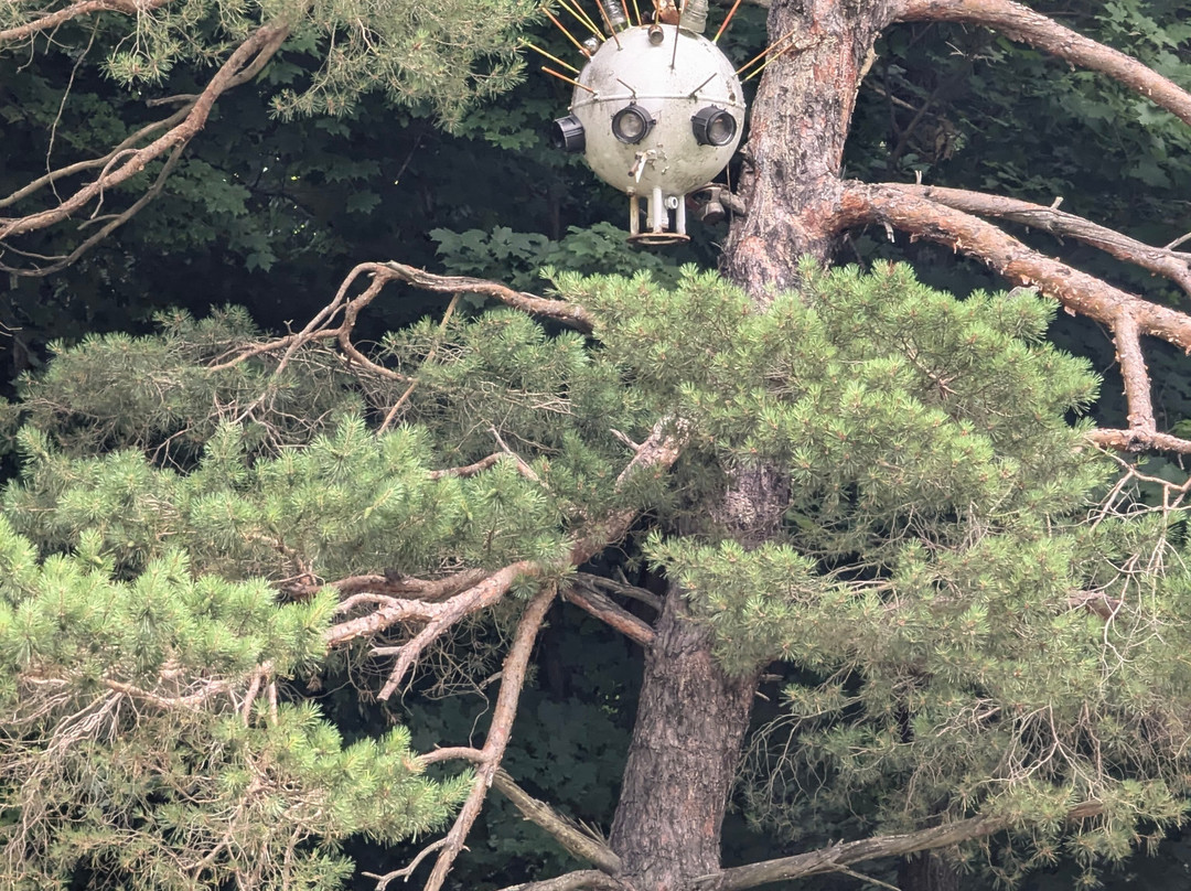 Schaefer's Auto Art-伊利必去景点