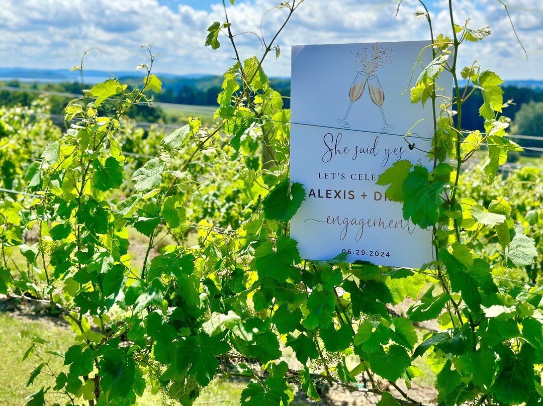 Designated Driver TC-特拉弗斯城必去景点