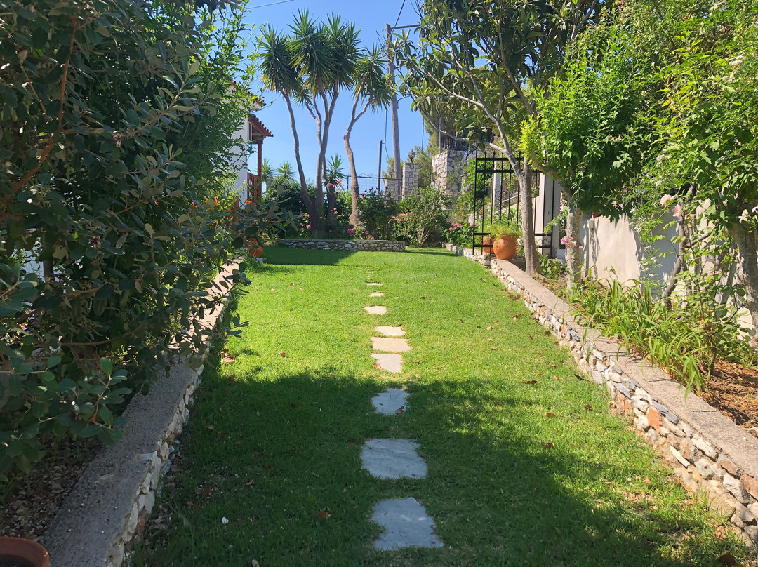 Veronica Studios主图