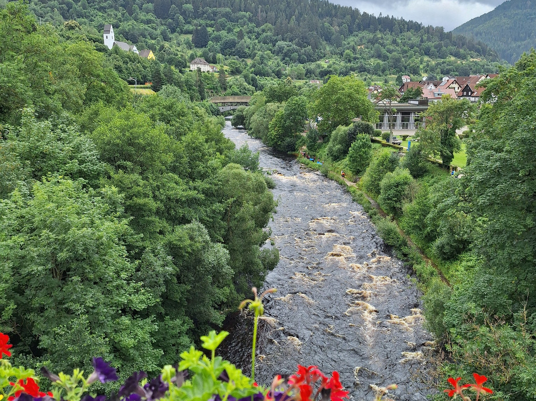 Hotel Am Mühlbach主图