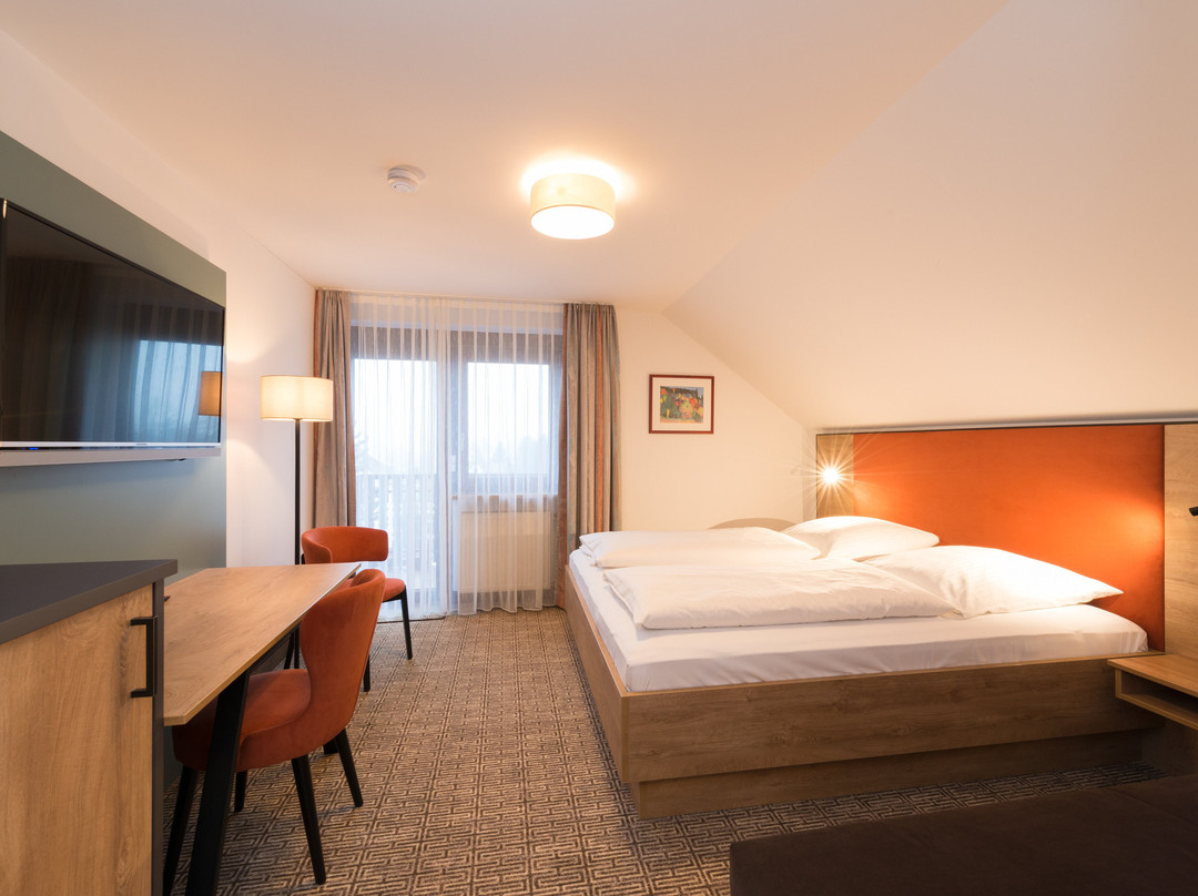 Hotel Schneider主图