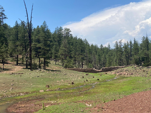 Sedona ATV & Buggy Rental, Inc.-弗拉格斯塔夫必去景点