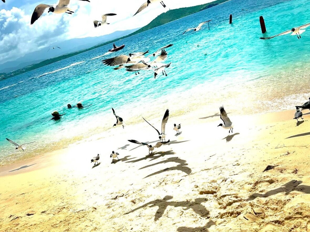 East Coast Water Taxi-法哈多必去景点