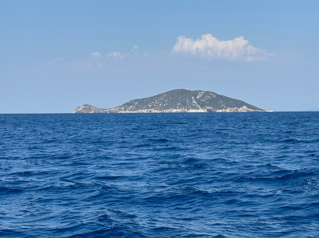 Cruises Holidays景点图片
